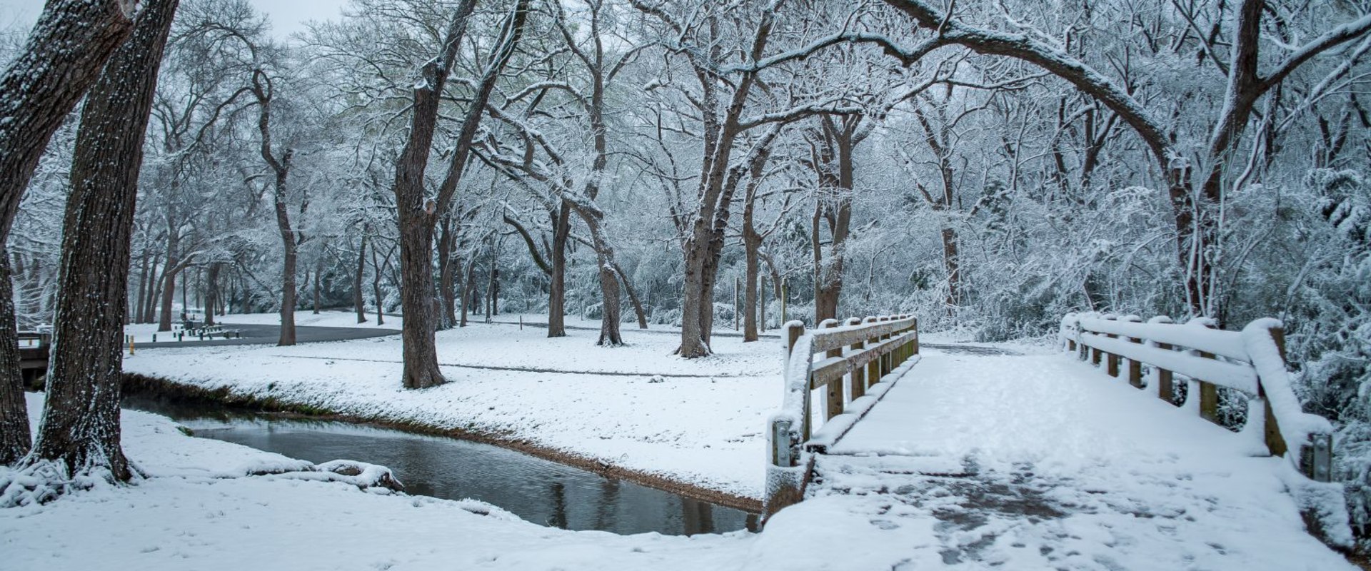 Weekend Weather Outlook for Dallas: What to Expect