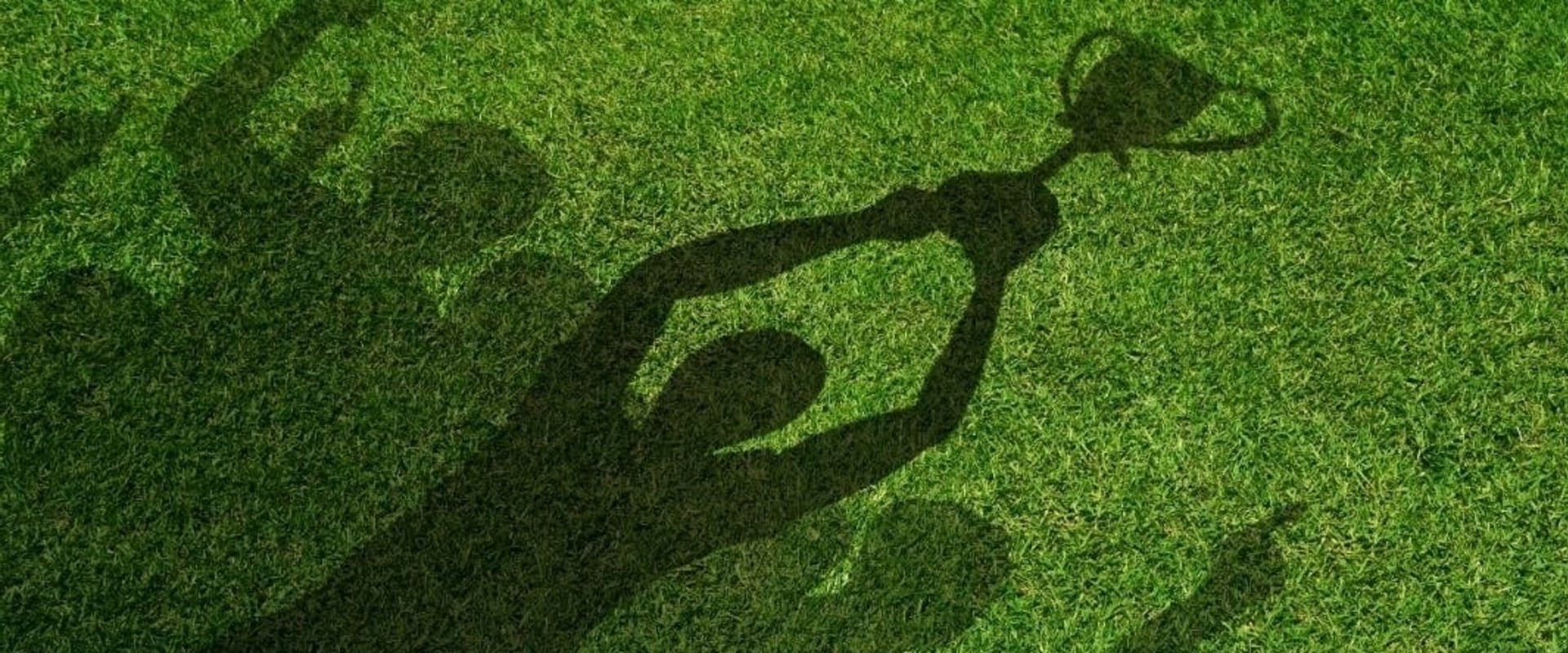 Spotlighting Dallas Athletes: Personal Stories and Community Impact