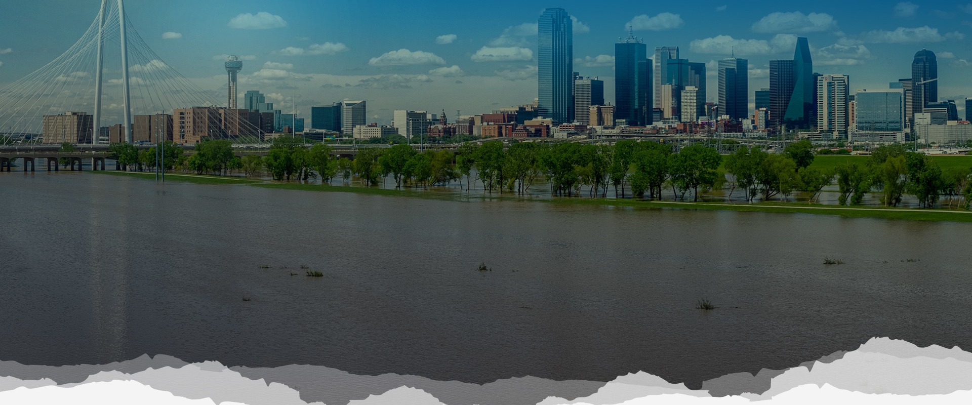 Understanding Environmental Regulations in Dallas