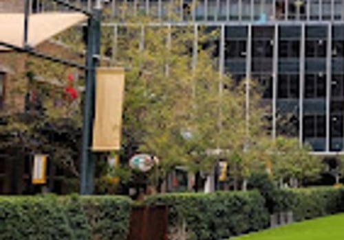 Exploring the Vibrant Intersection of Art and Culinary Delights in Dallas