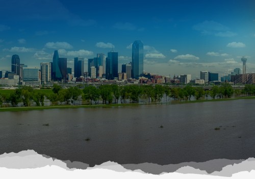 Understanding Environmental Regulations in Dallas